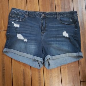 Distressed cuffed shorts